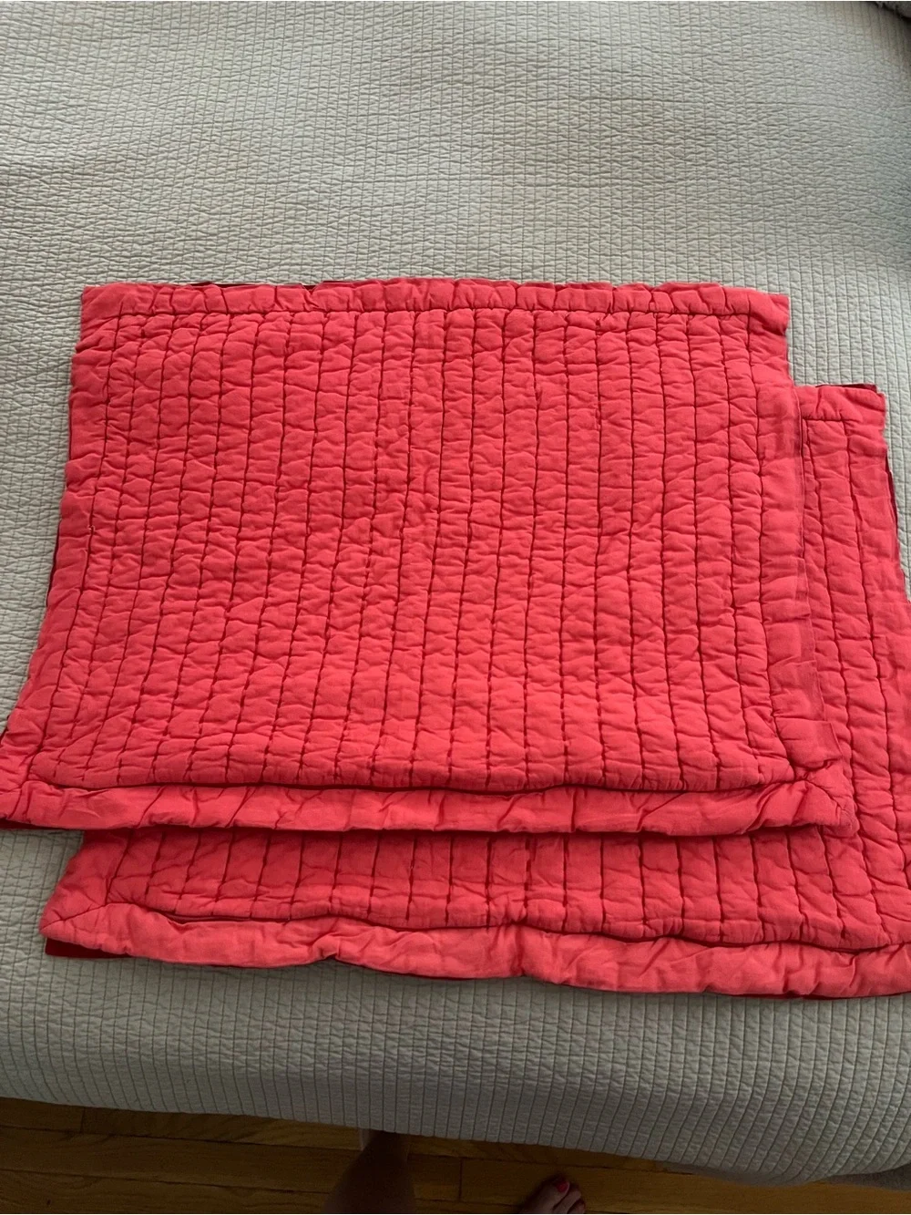 Pottery Barn Standard Pillow Shams (pair)